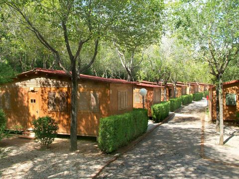 CHALET 6 personnes - Chalet 6 personnes