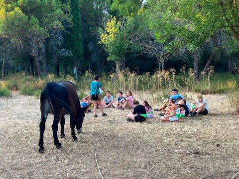 Camping Malolya - Camping Aude - Image N°2