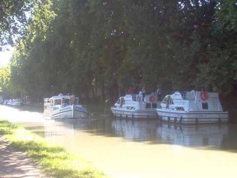 Camping Malolya - Camping Aude - Image N°19
