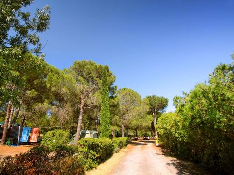 Camping Malolya - Camping Aude - Image N°7