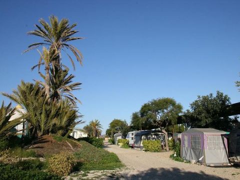 Emplacement - Emplacement tente et voiture 2 pers