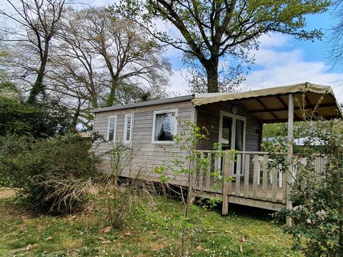 MOBILHOME 2 personnes - COTTAGE EVASION PREMIUM - 1 CHAMBRE  *** NOUVEAUTÉ ***