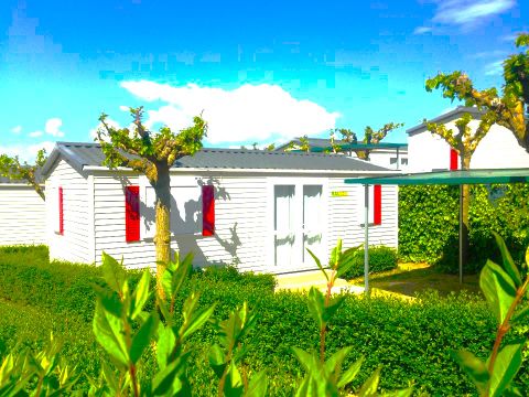 MOBILHOME 6 personnes - BALI