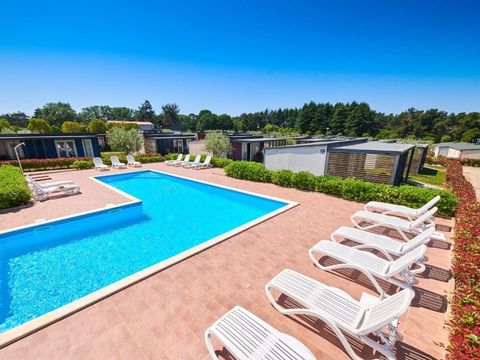 Camping Kastanija - Camping Istrie