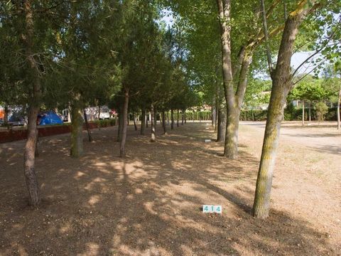Emplacement - Emplacement Confort (70-75m²): voiture + tente/caravane ou camping-car + électricité 10A + WIFI