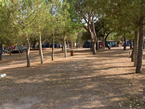 Emplacement - Emplacement Confort (70-75m²): voiture + tente/caravane ou camping-car + électricité 10A + WIFI