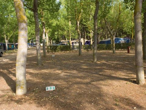 Emplacement - Emplacement Confort (70-75m²): voiture + tente/caravane ou camping-car + électricité 10A + WIFI