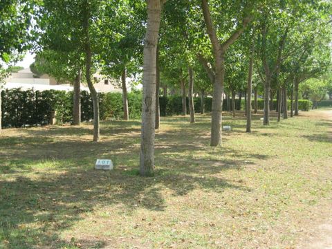 Emplacement - Emplacement Confort (70-75m²): voiture + tente/caravane ou camping-car + électricité 10A + WIFI
