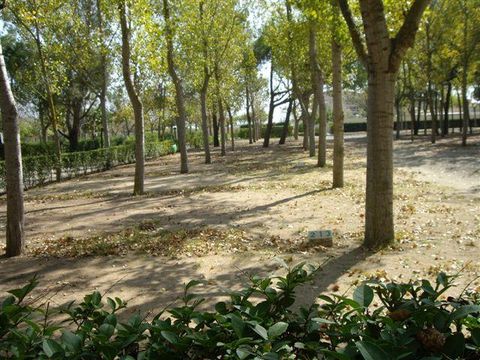 Emplacement - Emplacement Confort (70-75m²): voiture + tente/caravane ou camping-car + électricité 10A + WIFI
