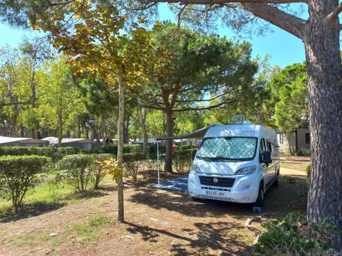 Emplacement - Emplacement Master (85m²): voiture + tente/caravane ou camping-car + électricité 10A + eau et évacuation des eaux usées + + WIFI
