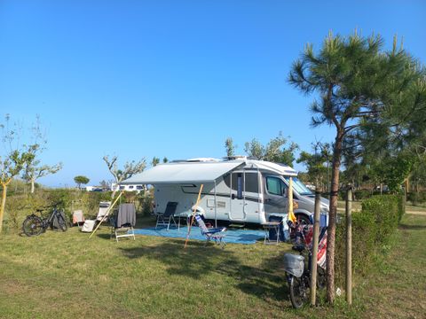 Emplacement - Emplacement Master XL (120m²): voiture + tente/caravane ou camping-car + électricité 10A +eau et évacuation des eaux usées + WIFI