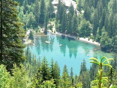 Flower Camping Les Iles - Camping Haute-Savoie - Image N°21