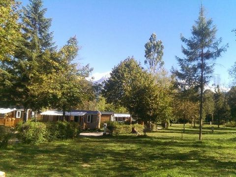 Flower Camping Les Iles - Camping Haute-Savoie - Image N°15