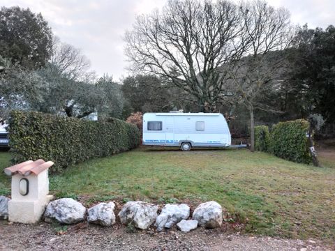 Camping Les Oliviers  - Camping Alpes-de-Haute-Provence - Image N°32
