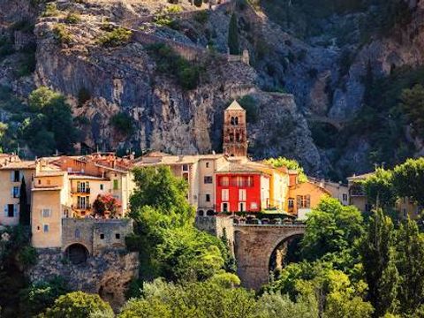 Camping Les Oliviers  - Camping Alpes-de-Haute-Provence - Image N°86