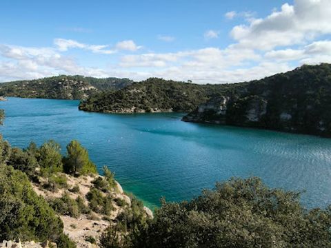 Camping Les Oliviers  - Camping Alpes-de-Haute-Provence - Image N°83