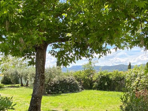 Camping Les Oliviers  - Camping Alpes-de-Haute-Provence - Image N°26