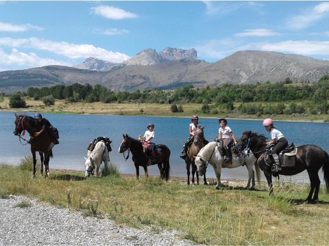 Camping Les Oliviers  - Camping Alpes-de-Haute-Provence - Image N°11