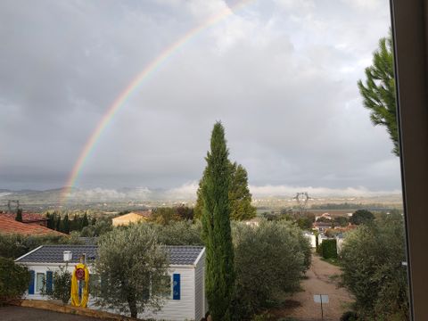 Camping Les Oliviers  - Camping Alpes-de-Haute-Provence - Image N°50