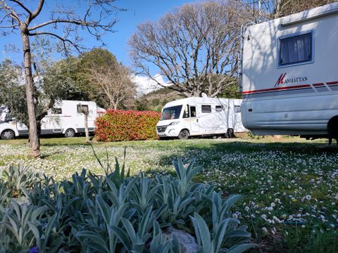 Camping Les Oliviers  - Camping Alpes-de-Haute-Provence - Image N°35