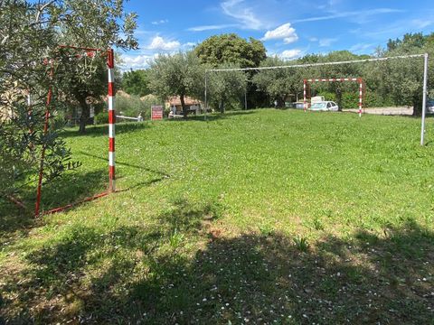 Camping Les Oliviers  - Camping Alpes-de-Haute-Provence - Image N°37