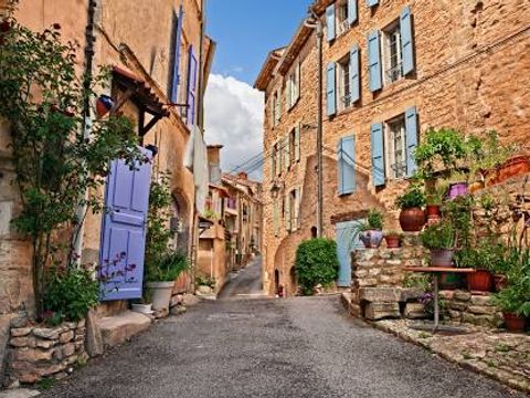Camping Les Oliviers  - Camping Alpes-de-Haute-Provence - Image N°73