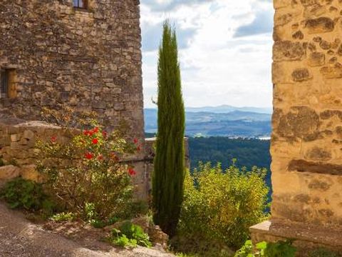 Camping Les Oliviers  - Camping Alpes-de-Haute-Provence - Image N°85