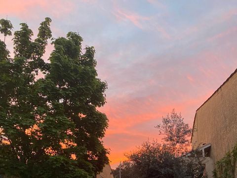 Camping Les Oliviers  - Camping Alpes-de-Haute-Provence - Image N°38