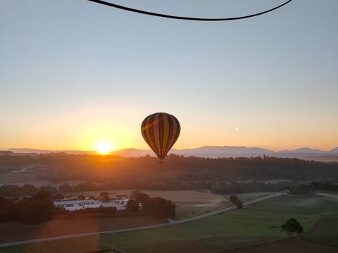 Camping Les Oliviers  - Camping Alpes-de-Haute-Provence - Image N°76