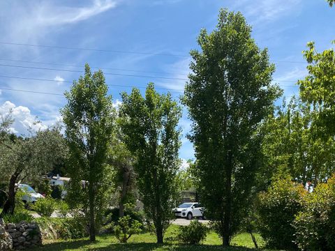 Camping Les Oliviers  - Camping Alpes-de-Haute-Provence - Image N°27
