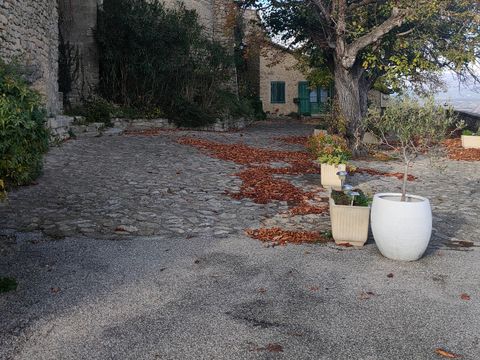 Camping Les Oliviers  - Camping Alpes-de-Haute-Provence - Image N°80