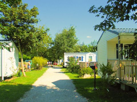 Flower Camping Cap Finistère - Camping Finistère - Image N°30