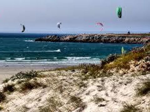 Flower Camping Cap Finistère - Camping Finistère - Image N°41