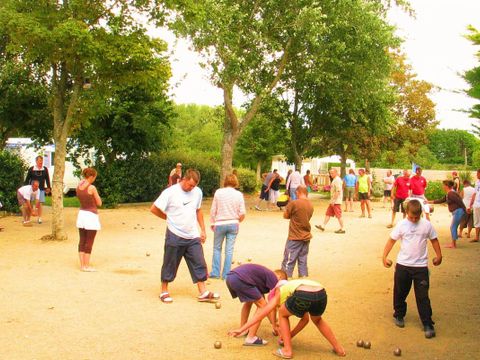 Flower Camping Cap Finistère - Camping Finistère - Image N°13