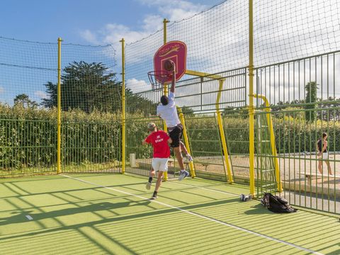 Flower Camping Cap Finistère - Camping Finistère - Image N°71