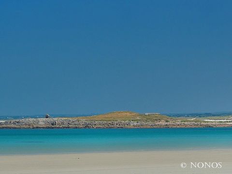 Flower Camping Cap Finistère - Camping Finistère - Image N°39