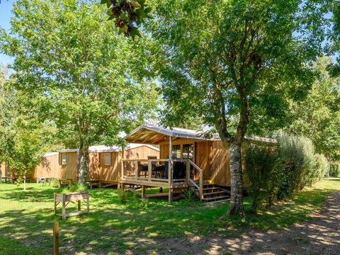 Flower Camping Cap Finistère - Camping Finistère - Image N°67