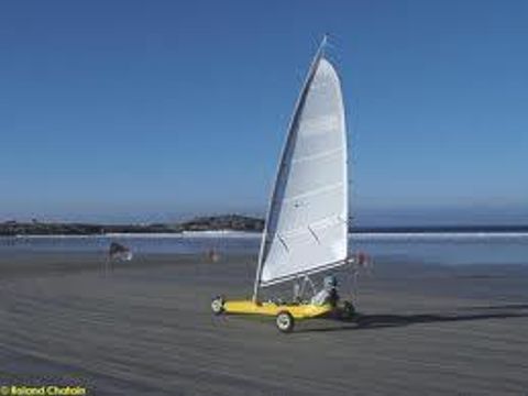 Flower Camping Cap Finistère - Camping Finistère - Image N°36