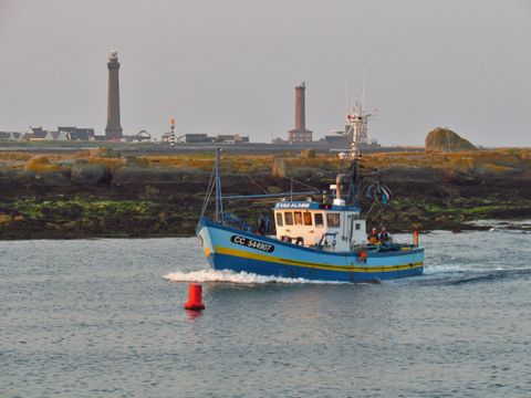 Flower Camping Cap Finistère - Camping Finistère - Image N°59