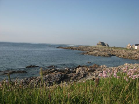 Flower Camping Cap Finistère - Camping Finistère - Image N°43