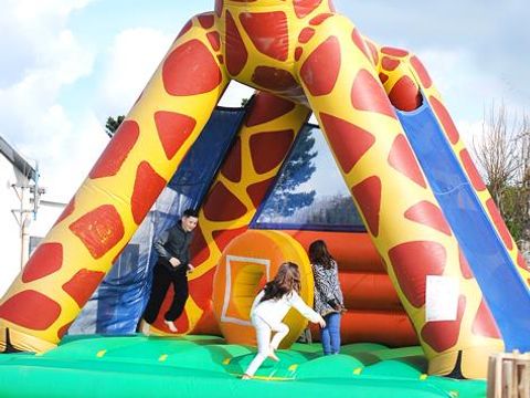 Flower Camping Cap Finistère - Camping Finistère - Image N°14