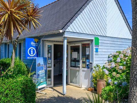 Flower Camping Cap Finistère - Camping Finistère - Image N°75