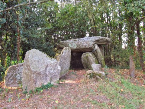 Flower Camping Cap Finistère - Camping Finistère - Image N°54