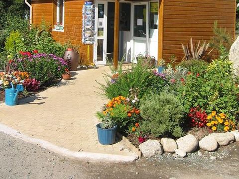 Flower Camping Cap Finistère - Camping Finistère - Image N°25