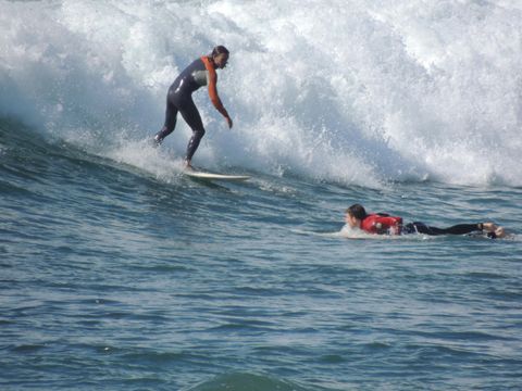 Flower Camping Cap Finistère - Camping Finistère - Image N°55