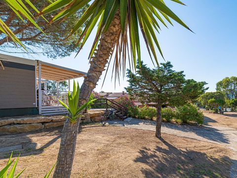 Camping Capo d'Orso - Camping Olbia-Tempio - Image N°47