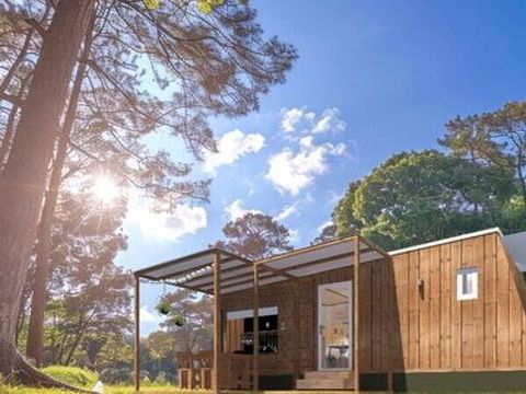 Tiny house 4 personnes - Tiny House | 2 Ch. | 4 Pers. | Terrasse surélevée | 1 SDB | Clim.