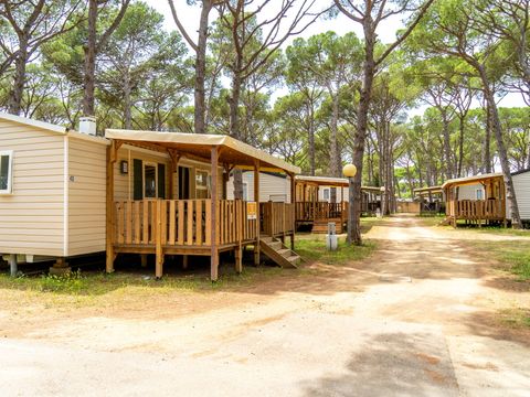 Camping Neptuno  - Camping Gérone - Image N°4