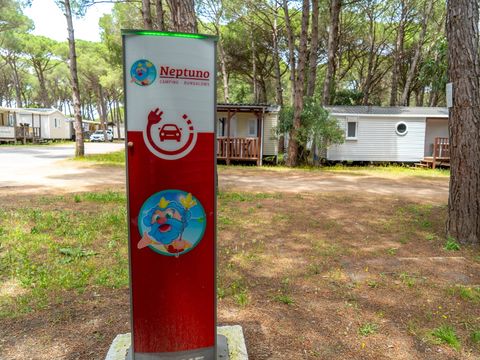 Camping Neptuno  - Camping Gérone - Image N°17