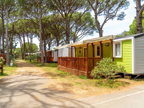 Camping Neptuno  - Camping Gérone - Image N°9